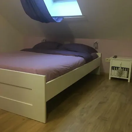 Le Vi Rene
